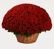 Премиум букет из: Розы #REPLACE_PRED# Воронежской